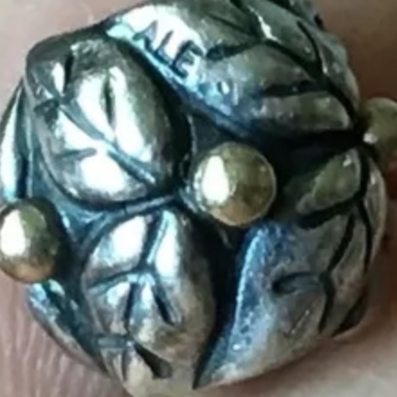 Pandora two tone charm - Picture 1 of 2